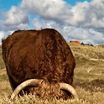 Duinbrink デン・ヘルダー