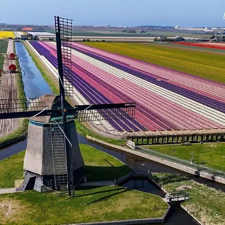 דירה Duinbrink *