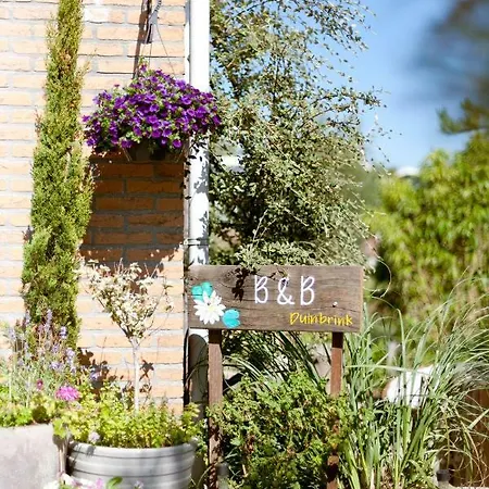 Apartment Duinbrink