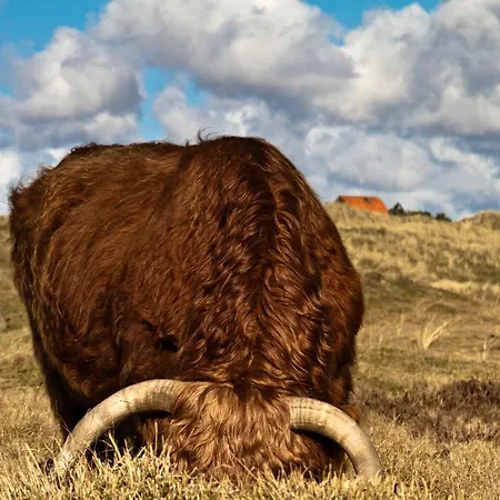 Duinbrink דן הלדר