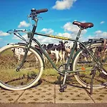 Duinbrink