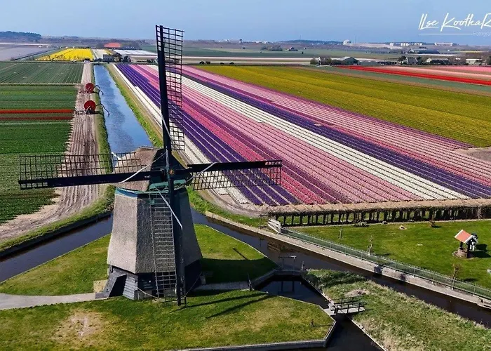 Apartamento Duinbrink *