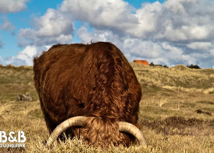Duinbrink Den Helder